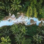 Moalboal et Cebu: les activités à ne pas manquer