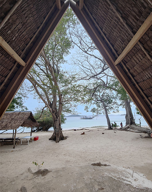 Vue depuis la cabane en bambou hebergement plage