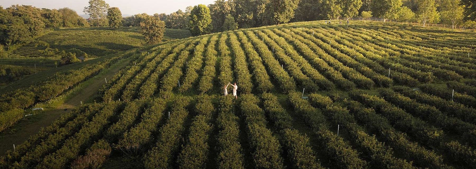 Voyage en Thailande du nord : itinéraire et budget