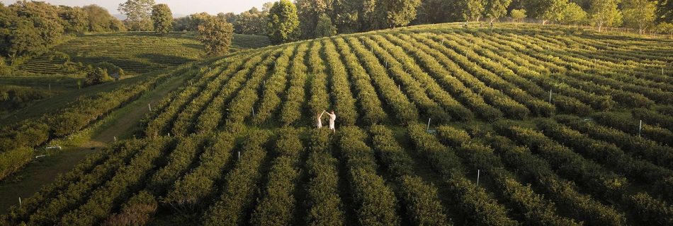 Voyage en Thailande du nord : itinéraire et budget