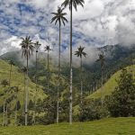 vallee de cocora à Salento