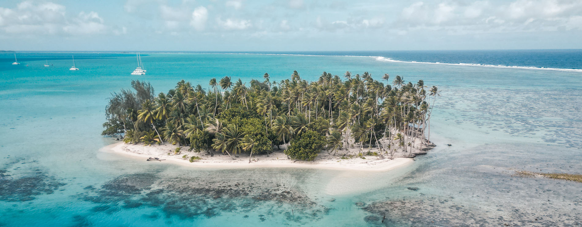 Raiatea île polynésie française