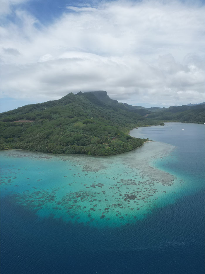 terrain de la ferme à LTB Fenua