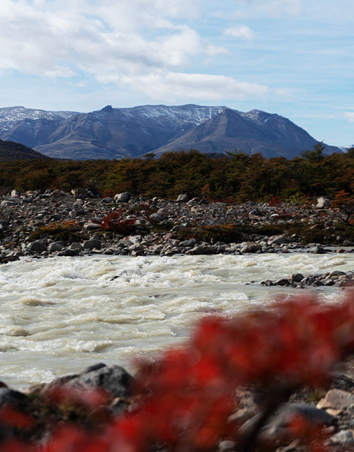 Rio Fitz Roy randonnée laguna torre