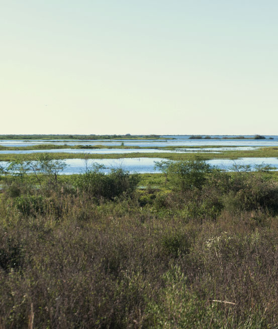 Lagunes du parc national Ibera