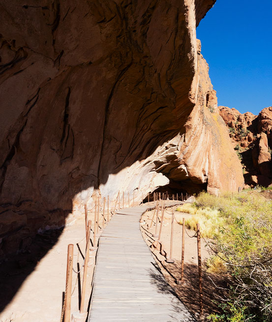 Premiere grotte peinture rupestre