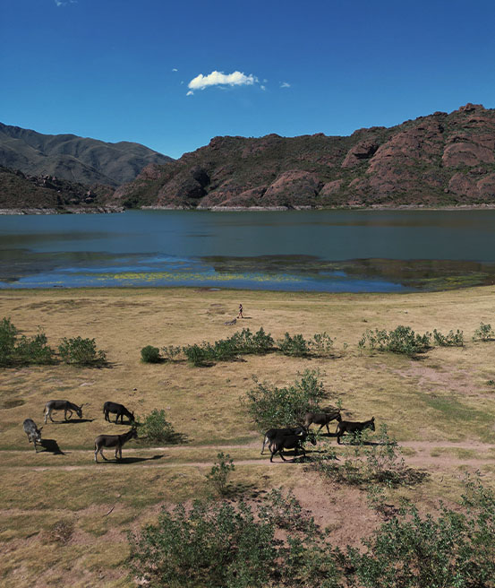 Laguna del Brealito paysage lac Salta