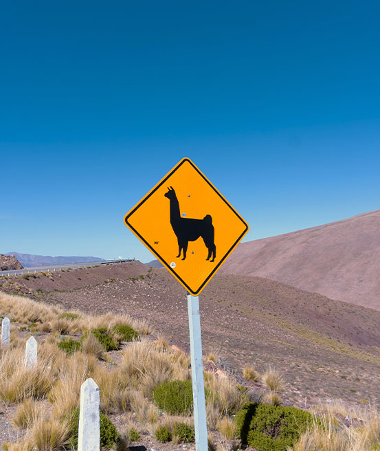 Panneau Lamas route Salta boucle nord