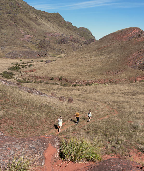 Balade à Valle Encantado Parc national Los Cardones