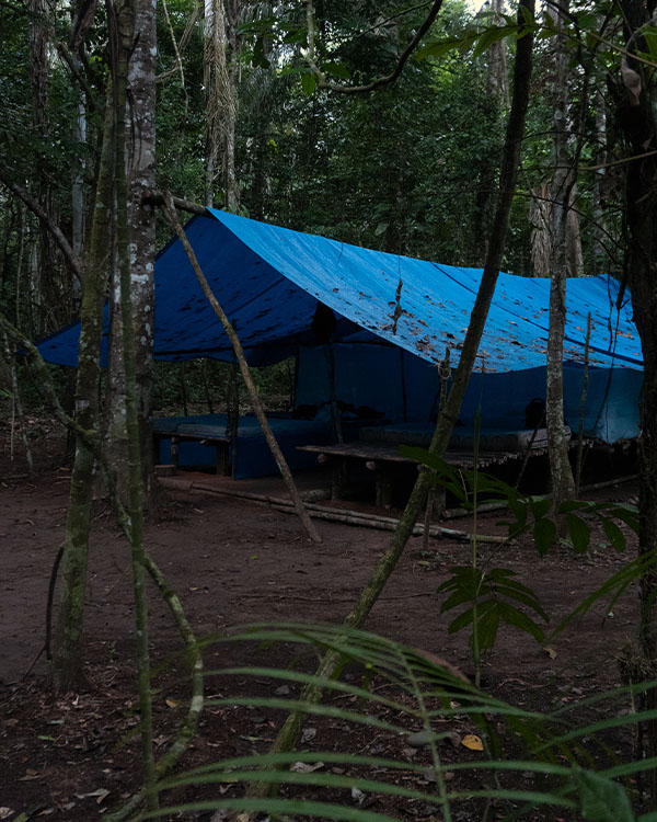 Campement dans l'Amzonie bolivienne