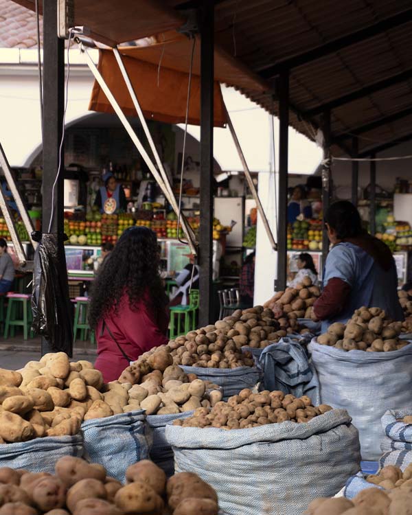 Marché de patate à Sucre