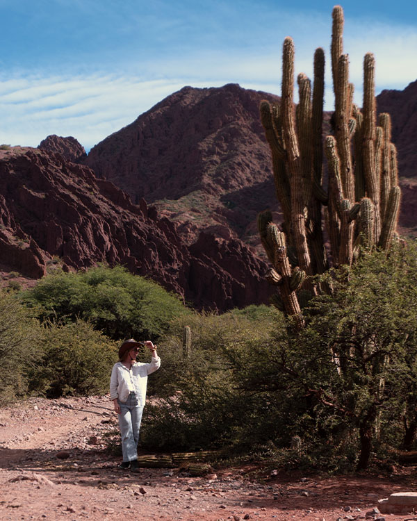 Paysage de Tupiza avec cactus et sable rouge