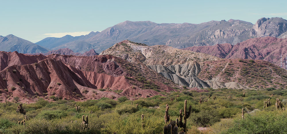 Paysage de Tupiza avec les montagnes rouge et les cactus 